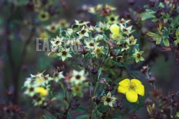 EA336492, Eastpress , Porvoo, Finland